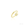 Anillo plata de ley Z