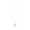 Collar Viceroy B