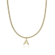 COLLAR ACERO Y TITANIO IP DORADO SRA FASHION                                                        