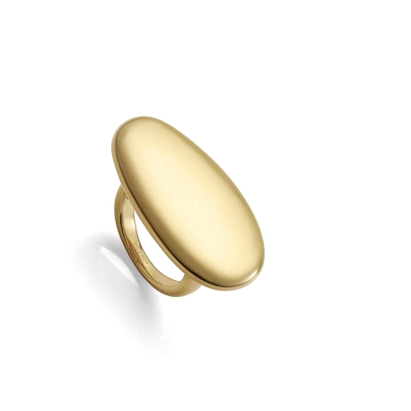 ANILLO ACERO IP DORADO PLANO SRA FASHION                                                            