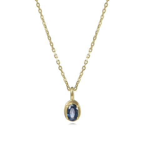 COLLAR PLATA DE LEY BAÑO ORO PIED NAT SRA JW                                                        